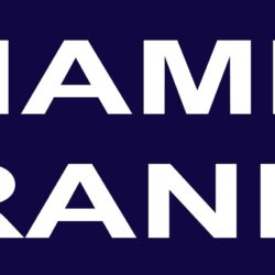 NWFD Lion Jacket Name and Rank Patch 4” x 2” (No Velcro, Sewn In)