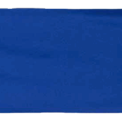 NWFD Cooling Towel in Royal Blue